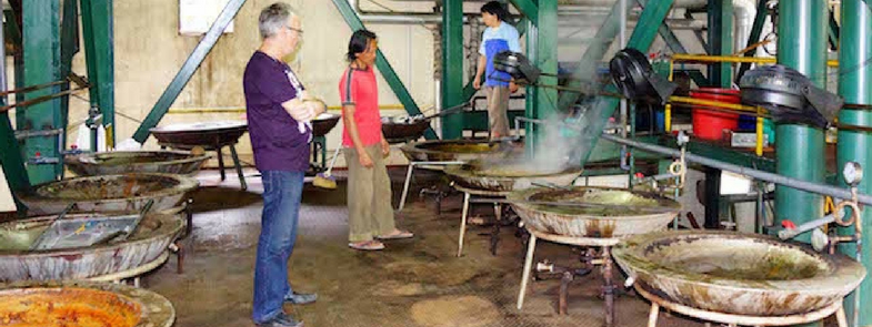 Palmsuiker fabriek deel 1 Blog Thumbnail 785x295 | Rowena Goes Ape