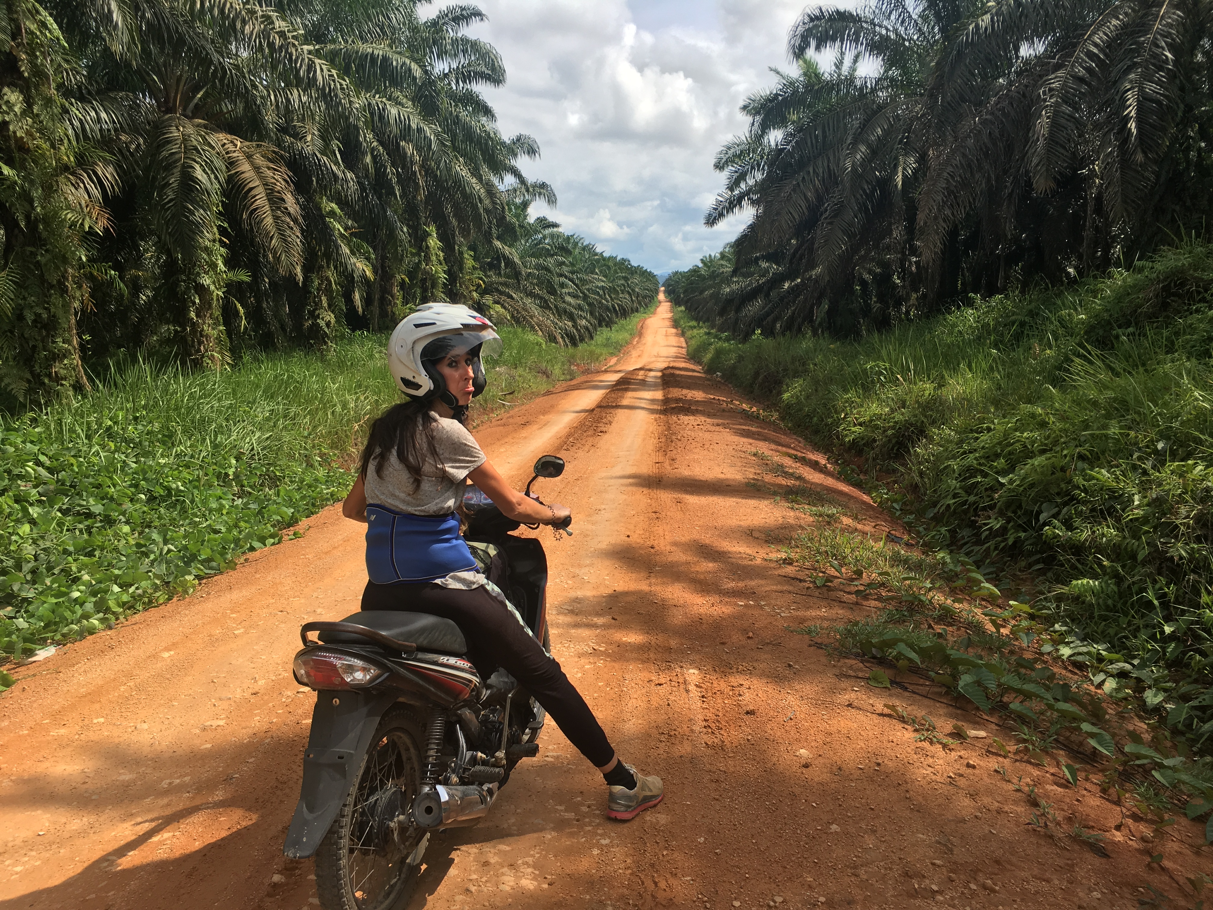 Project Borneo Orang-Oetans Deel 1 (9) | Rowena Goes Ape
