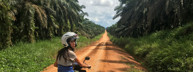 Project Borneo Orang-Oetans Deel 1 Blog | Rowena Goes Ape