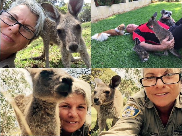 Australische Ranger Blog | Go-Ape (2)