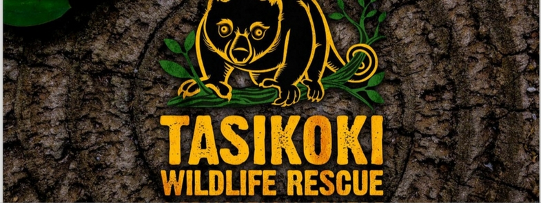 Tasikoki Nieuw Jasje Blog Thumbnail 785x295 | Rowena Goes Ape