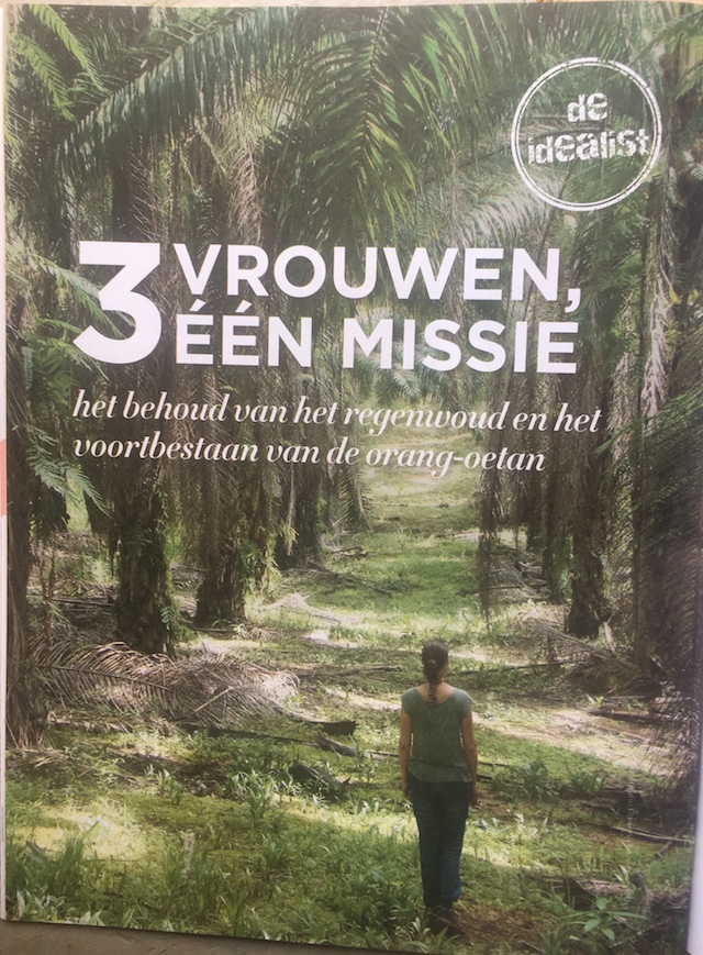Overwinning Regenwoud Blog | Rowena Goes Ape (a)