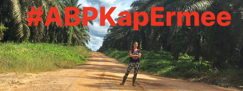 ABP Kap Ermee Blog Thumbnail 785x295 | Rowena Goes Ape