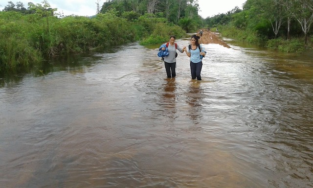 Project Borneo Orang-Oetans Deel 1 (5) | Rowena Goes Ape