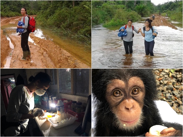 Terug Limbe Kameroen Blog | Rowena Goes Ape (1-2-3-4)