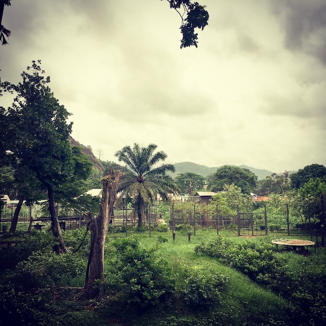 Terug Limbe Kameroen Blog | Rowena Goes Ape (5)