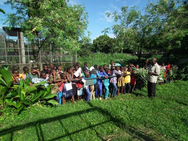 Limbe Wildlife op de valreep Blog | Rowena Goes Ape (2) nature club