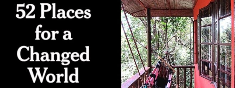 Ondersteun Chimpansees Reislust Blog Thumbnail 785x295 | Rowena Goes Ape